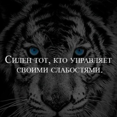 Олег Тян, 10.11, Санкт-Петербург