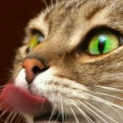 Наталья Шкляр, 27.04.1987, Москва