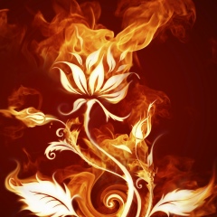 Вероника Аристова, 04.08, Санкт-Петербург