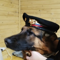 Пашкевич Морковкин, 07.07.1992, Ногинск