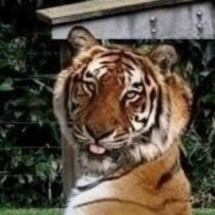 Сергей Тараканов, 26.02.1991, Москва