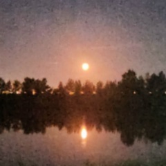 Алексей Андреевич, 13.03.1990