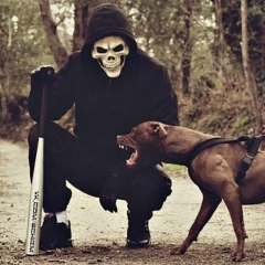 Вардан Варданян, Майкоп