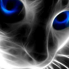 Владислав Рыжаков, 23.06.1978, Омск