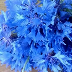 Александра Груздева, 27.05