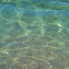 София Зарипова, 19.04, Апатиты