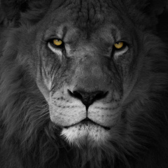 Юрий Иванов, 05.01.1920, Москва