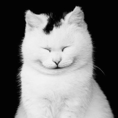 Александр Таций, 21.08.1987, Елабуга