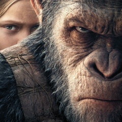 Айдар Гиззатуллин, 23.10.1984, Санкт-Петербург