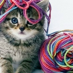 Ольга Котенок, 12.04.1974, Москва