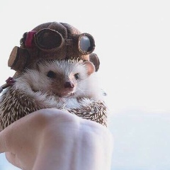 Лаура Байсалбаева, 19.03