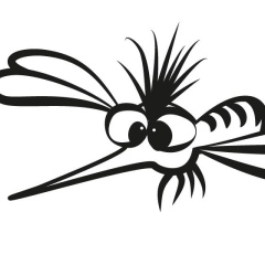 Юрий Анофелесов, Санкт-Петербург