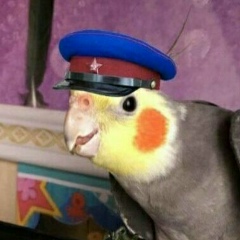 Андрей Высоцкий, 25.02, Хандыга