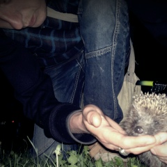 Александр Романов, 06.03, Москва