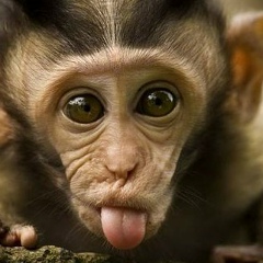 Муса Найбаров, 22.07.1992, Грозный