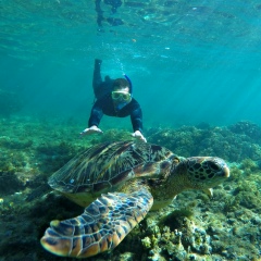 Сергей Инюшкин, 18.07.1987, Москва
