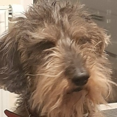 Вадим Копель, 29.05.1966, Санкт-Петербург