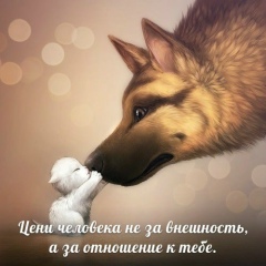 Нурдаулет Ибрагим, 03.12, Шымкент