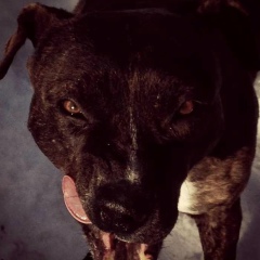 Ulugbek Orazov, 20.12, Актобе