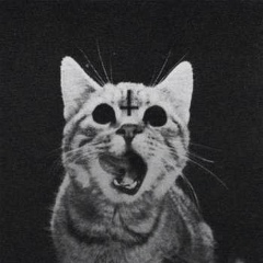 Денис Грибанов, 08.10, Киев