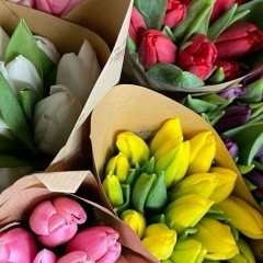 Анастасия Новоселова, 01.04, Екатеринбург