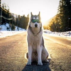 Батырхан Кожахмет, 14.02.1995, Астана