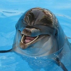 Алиса Шнейдер, 06.11, Москва