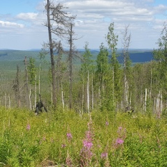 Марат Салатов, Магнитогорск