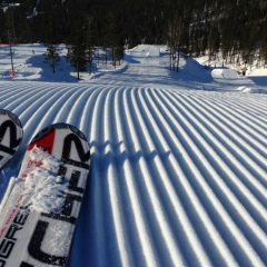 Константин Смирнов, 14.01.1983, Мурманск