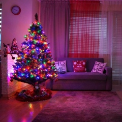 Татьяна Шмидт-Малявская, Poznań