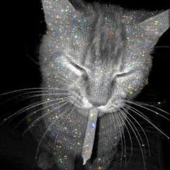 Кирилл Мочаловский, Москва