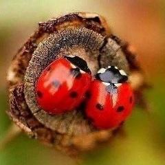 Галина Волкова, 31.10, Ростов-на-Дону