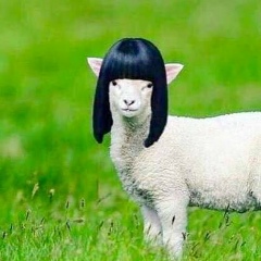 Vizi Voo, 22.04.1992, Cincinnati