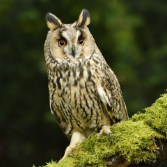 Наташа Терентьева, 18.07, Санкт-Петербург