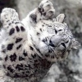 Виталий Матвеев, 21.03, Новосибирск