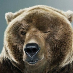 Сергей Бессмертный, 05.04.1979, Москва