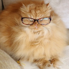 Ира Гурова, 03.04.1989, Москва