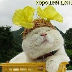 Лариса Сомова, 30.07