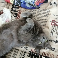 Никита Александрович, 04.04.1990