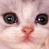 Ульяна Овчинникова, 16.10, Подольск / Котовск