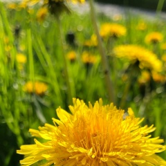 Владимир Любинецкий, 26.02.1988, Mönchengladbach