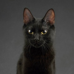 Ксения Скарлыгина, Санкт-Петербург