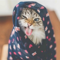 Виктория Роговая, 18.12.1988, Кокшетау