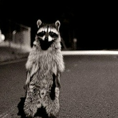 Никита Решетов, 30.04, Санкт-Петербург