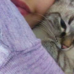 Дана Отесин, 29.07.1997, Актау