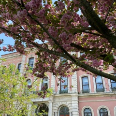 Kuralay Nazhimatdinova, 23.01.2001, İstanbul