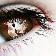 Женя Лебедь, 24.06, Санкт-Петербург