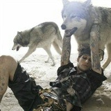 Алексей Волков, Москва