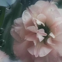 Мадина Гогиева, 20.07.1994