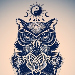 Роман Парасоцкий, 14.11.1984, Ростов-на-Дону